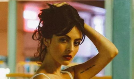 欧美性视频播放,激情瞬间与情感纠葛